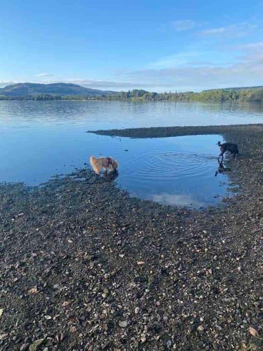 ルス Charming Stone Bothy At Loch Lomondヴィラ エクステリア 写真